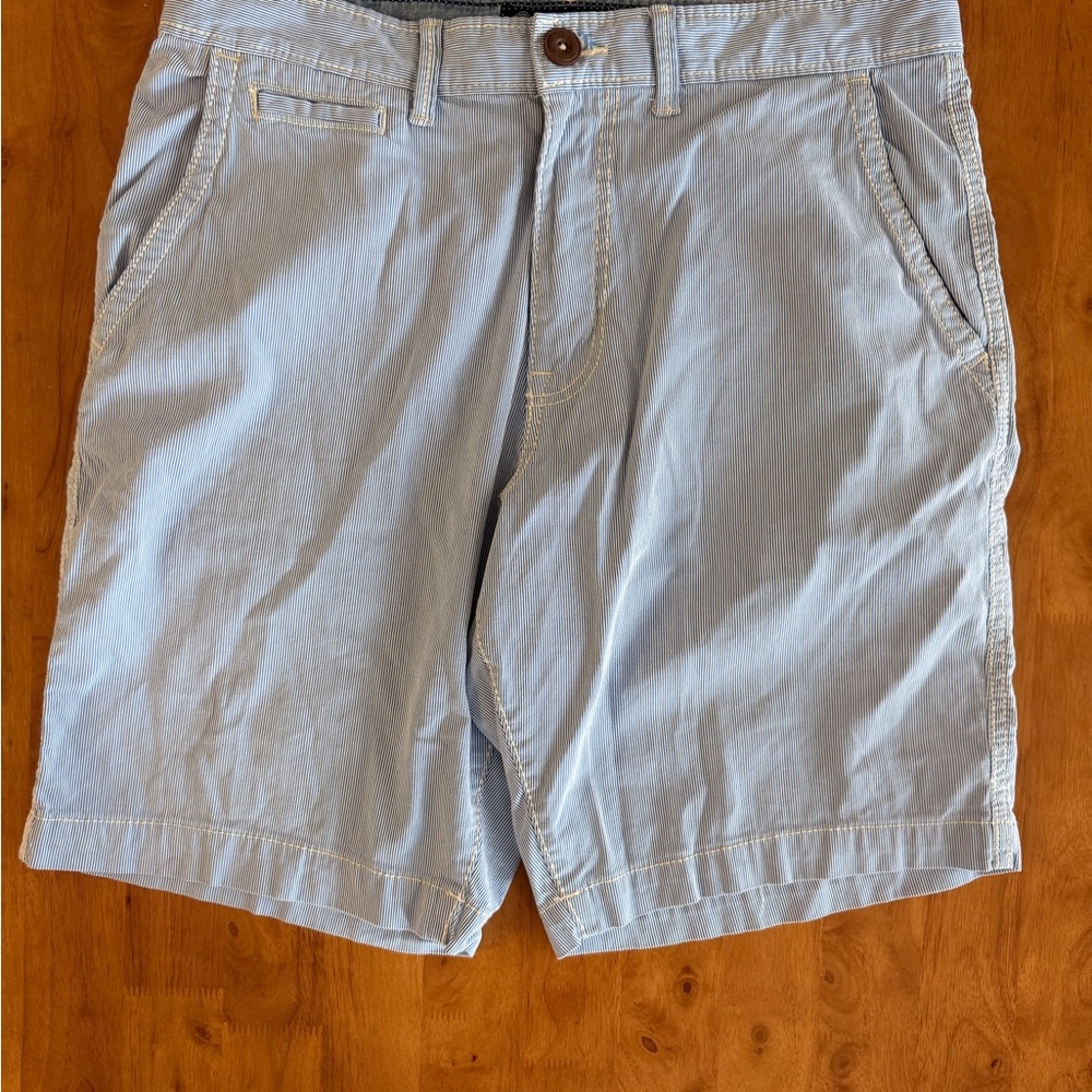 American Eagle Outfitters Light Blue Stripe Classic Men's Flat Front Shorts